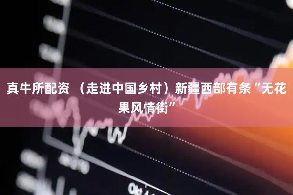 真牛所配资 （走进中国乡村）新疆西部有条“无花果风情街”