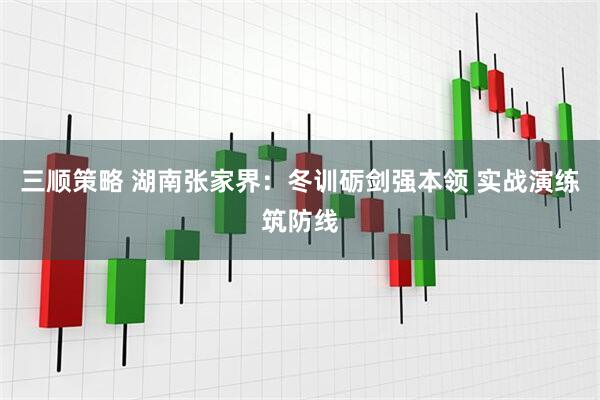 三顺策略 湖南张家界：冬训砺剑强本领 实战演练筑防线