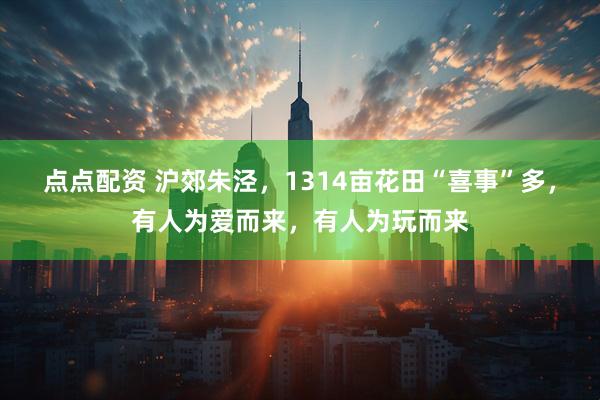 点点配资 沪郊朱泾，1314亩花田“喜事”多，有人为爱而来，有人为玩而来